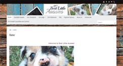 Desktop Screenshot of bestlittleaussies.com
